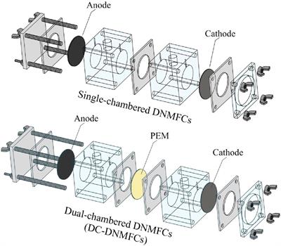 Insight into a single-chamber air-cathode microbial fuel cell for nitrate removal and ecological roles